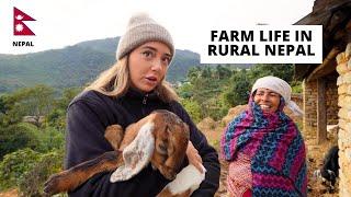 72 hours Farmers Life in Rural Nepal 