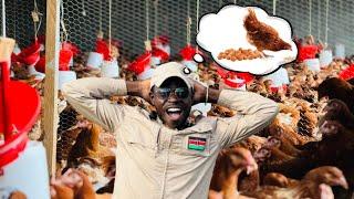 Before You Quit Your Job For Chicken Farming WATCH THIS