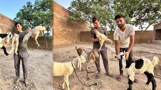 Aj Samad Ka Zoo Visit Kiya  Bht Maza Aya