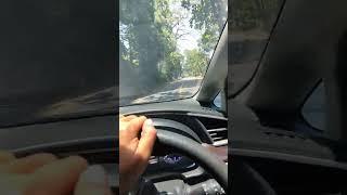 Rute jalan masuk Alas Gumitir #shorts
