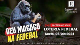 Federal ao vivo, Sexta-feira, 06/09/2024 - Resultado Fácil!