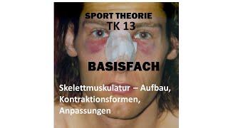 BASISFACH Sport TK 13 Muskel - Aufbau, Anpassung, Kontraktionsformen, ..Däfern (auch Leistungsfach)