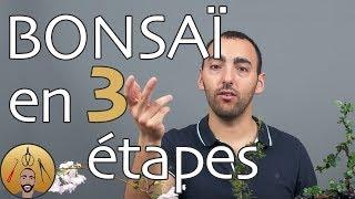 CONSTRUIRE un BONSAÏ en 3 étapes AFDB