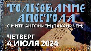 Четверг, 4 июля 2024 года. Толкование Апостола с митр. Антонием (Паканичем).