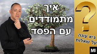 גיא עונה על שאלות - איך מתמודדים עם הפסד