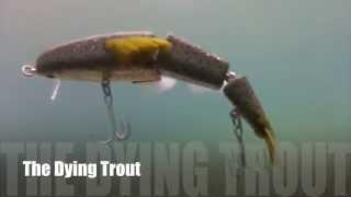 The Bettencourt Baits Dying Trout Swimbait