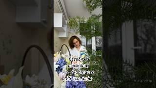 Практика Дневник благодарности. Осознание дня