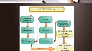 sap hr us payroll online training in sweden