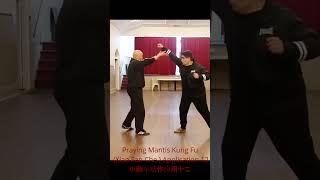 "Dynamic Mastery Unveiled: Praying Mantis Kung Fu Xiao Fan Che Application 12 Exploration! "螳螂拳好