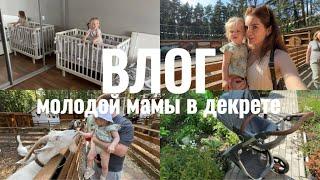 ДЕНЬ НА ДАЧЕ КОНТАКТНЫЙ ЗООПАРК  НОВАЯ КРОВАТКА  КОЛЯСКА STOKKE 🫣  ЗЛАЯ в ДЕКРЕТЕ? 