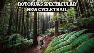 Whakarewarewa Forest Loop: Rotorua's spectacular new cycle trail | TRAVEL | STUFF TRAVEL