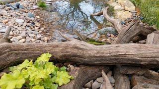 Making a small wildlife pond.