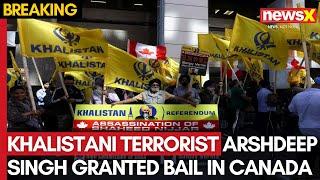 India Canada Tensions: Khalistani Terrorist Arsh Dalla Granted Bail In Canada: Sources | NewsX