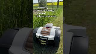 kosiarka automatyczna ambrogio