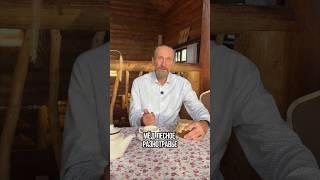 Лесное разнотравье.