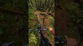 Bad idea... Mountain Biker regrets his decision #mountainbiking #mtb #pov