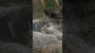 The Big Dam And A Huge Amount Of Water #beaverdam #beaverdamremoval #mstech86