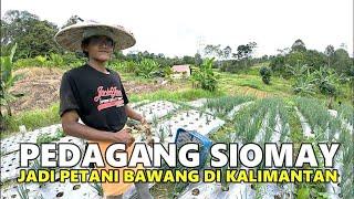 MAS JIONO, PEMUDA RANTAU ASAL PONOROGO  BERKEBUN DAUN BAWANG DI LAHAN PERBUKITAN KALIMANTAN UTARA