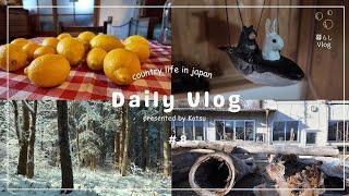 【田舎暮らし vlog】ワクワクする冒険の様な日々を️｜春待ちレモンとクジラさんランプ｜大人の秘密基地とパソコンデスクの模様替え【前編】