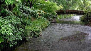 River Water and the Refreshing Rain - Magical Rain Sounds that Immediately Put You to Sleep.