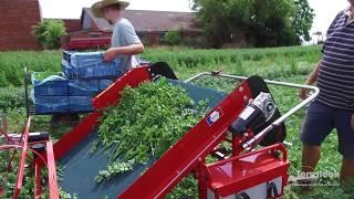 Terrateck - Greens salads and aromatics harvester