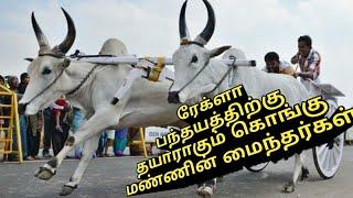 Rekla race or bull race 2 in tamil nadu Pollachi 2017