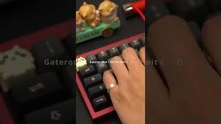 Gateron Mini i - great for typing! #customkeyboard #mechanicalkeyboard #keebs #keyboardswitches