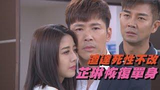 【金家好媳婦】EP132 陳芷琳總算恢單 高冠達死性不改沒救了