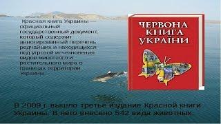"Красная книга  Украины "-животные