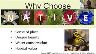 Water Wise Native Plants Webinar