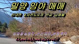 밀양 임야 2차선 도로접 몽땅2,700만 /밀양 임야 매매/산내면 임야 매매 /밀양 토지 매매/임야 매매 전문