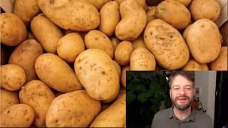 Der Pflanzenturm/ Kartoffelturm - Gartenkurs mit Kai - MKS ONLINE