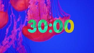 30 Minute Beautiful Jellyfish Timer with Soothing Music