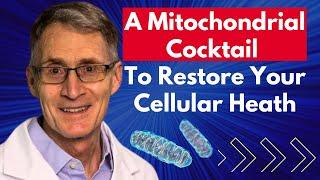 A Mitochondrial Cocktail to Restore Your Cellular Health | Dr Mark Tarnopolsky Interview