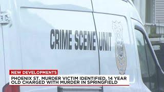 Victim of deadly shooting on Phoenix Street in Springfield identified