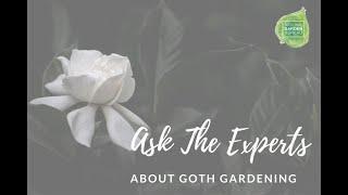 Goth Garden Plants: Must-Have Flowers for a Dark & Dramatic Landscape