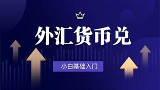 外汇实战技术学习——市场背后的数字规律 合理控制仓位