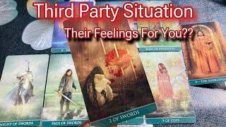 Hindi-Urdu | Third Party Situation | Quick Energy Update | Timeless Tarot