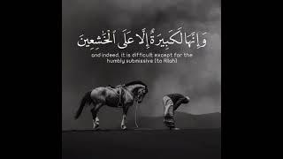 Abdul Rahman Mossad - Quran Recitation by Abdul Rahman Mossad #abdulrahmanmossad #holy_quran