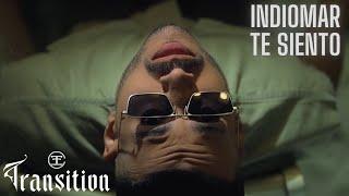 Indiomar - Te Siento (Official Music Video) |  Transition 