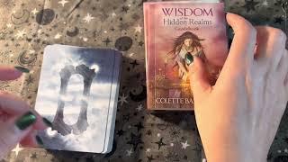 Wisdom of the Hidden Realms Oracle Deck / Flip Through