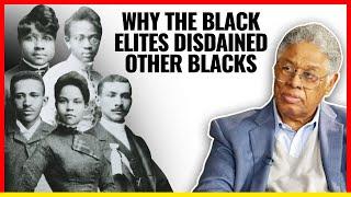 The Untold History of The Free Blacks in America