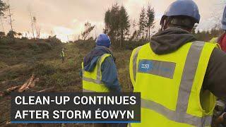 Clean-up continues in aftermath of Storm Éowyn