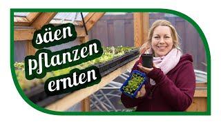 Säen Pflanzen und Ernten im März | Aussaaten und Gartenarbeiten im Gartengemüsekiosk