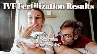 IVF Egg Retrieval Fertilization Results!! | How Many Eggs Were Fertilized | Our Infertility Journey