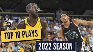 Edmonton Stingers Top 10 Plays of 2022