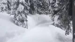    SO SIEHT ES BEI UNS IM SCHWARZWALD AUS    SCHNEE WOHIN DAS AUGE REICHT   