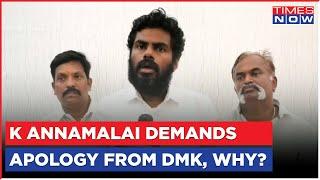 K Annamalai Goes Ballistic Against MK Stalin-Led DMK Govt Over 'China Endorsement', What Happened?