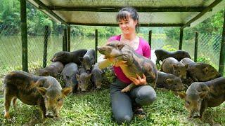 300 Day: Building, Raising Pigs, Farming, Cooking, Harvesting,...She can do everything? TIMELAPSE