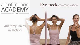 Eye-Neck Communication | Anatomy Trains in Motion